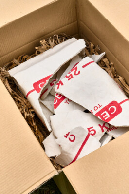 Unproductive Projects