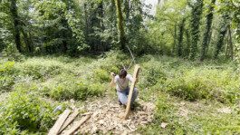 Unproductive Projects