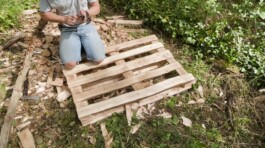 Unproductive Projects