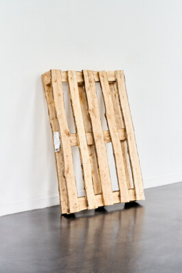 Unproductive Projects