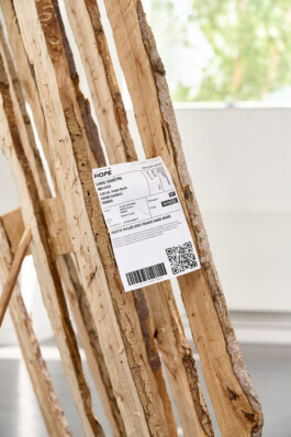 Unproductive Projects