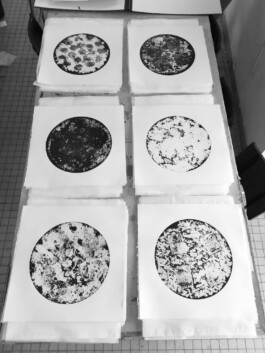 Unproductive Projects