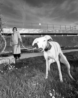 Unproductive Projects