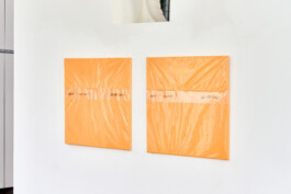 Unproductive Projects