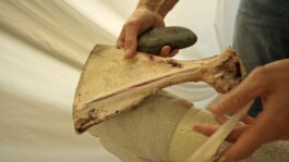 Unproductive Projects